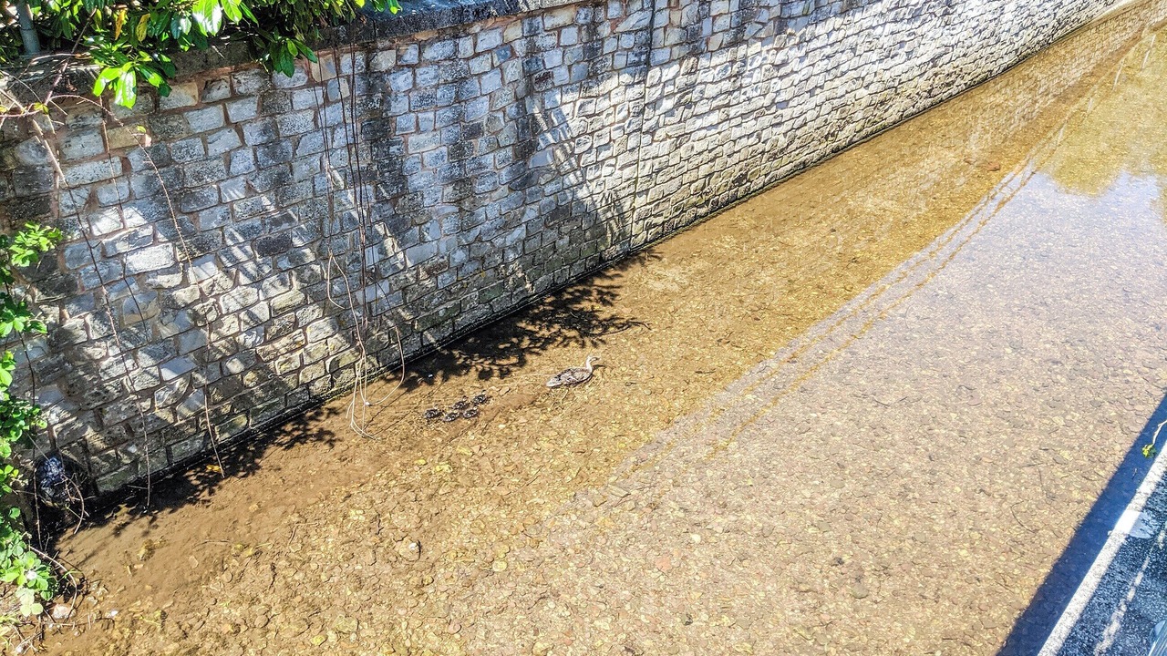 Photo of Outdoor in Honiton