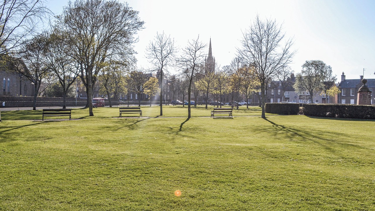 Photo of Others in Montrose