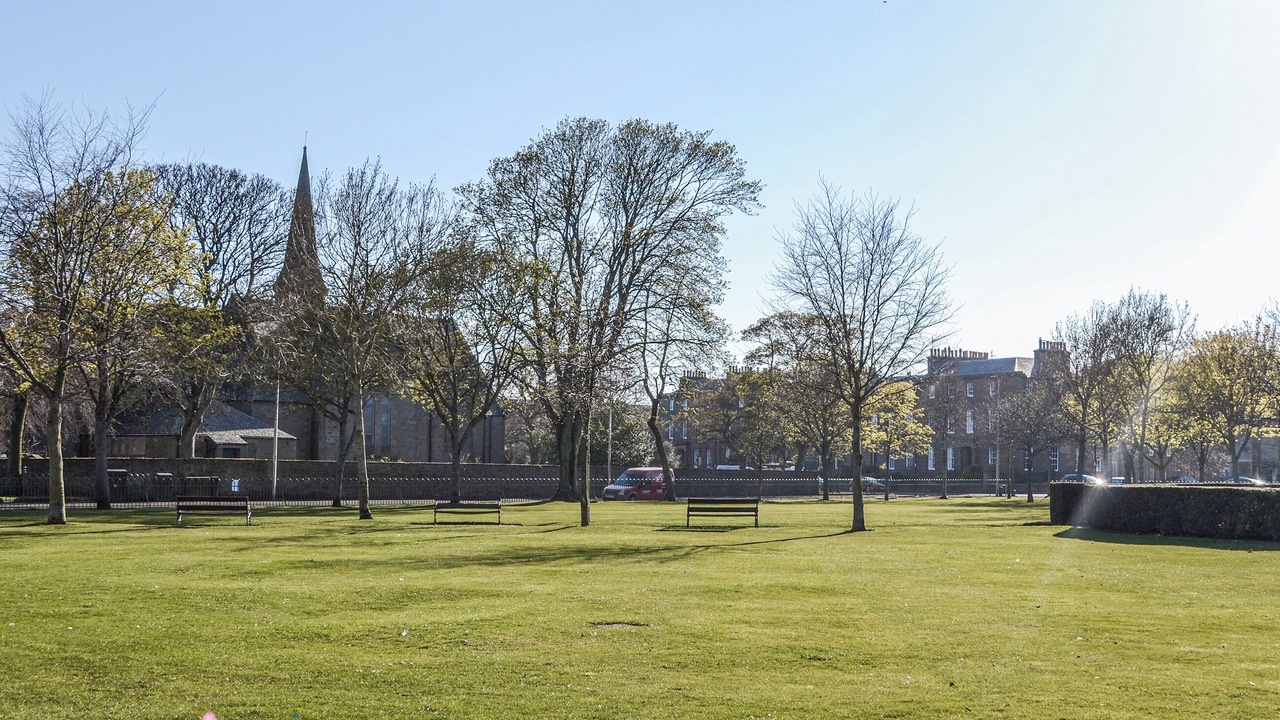 Photo of Others in Montrose