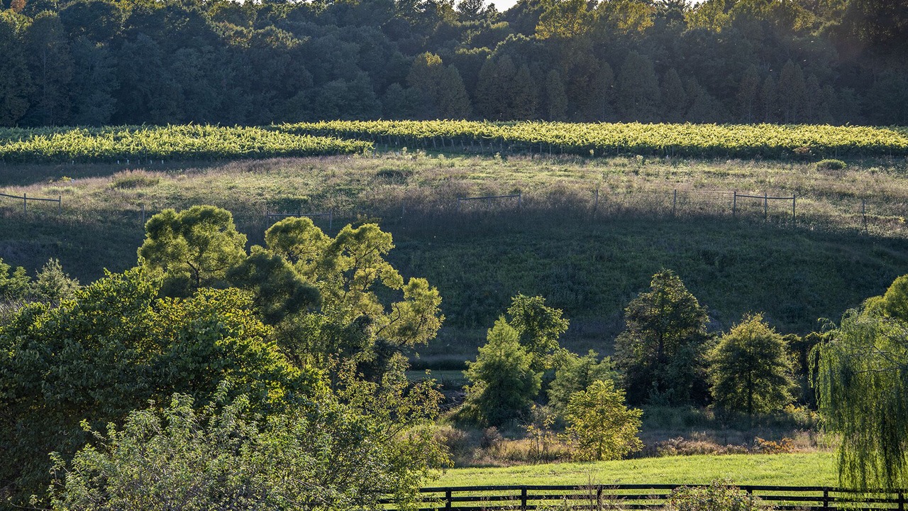 Photo of Outdoor in Cobham