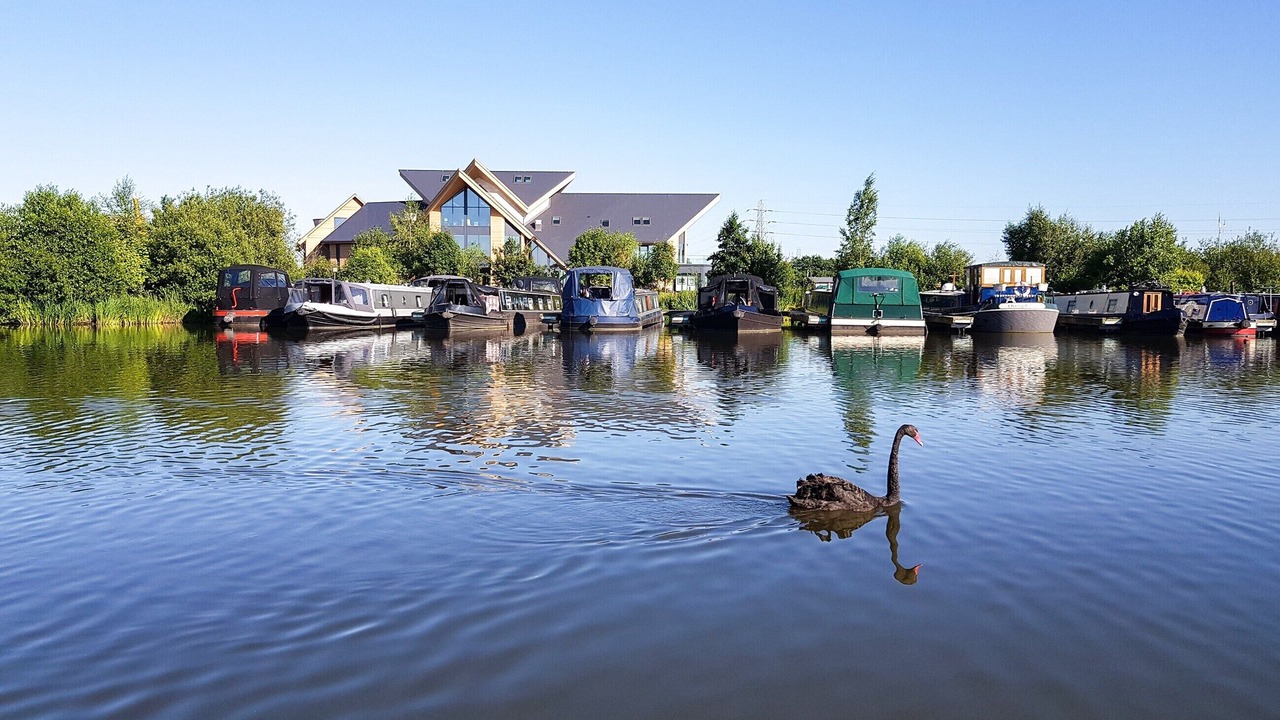 Photo of Others in Willington