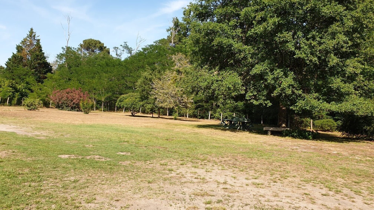 Photo of Others in Noaillan