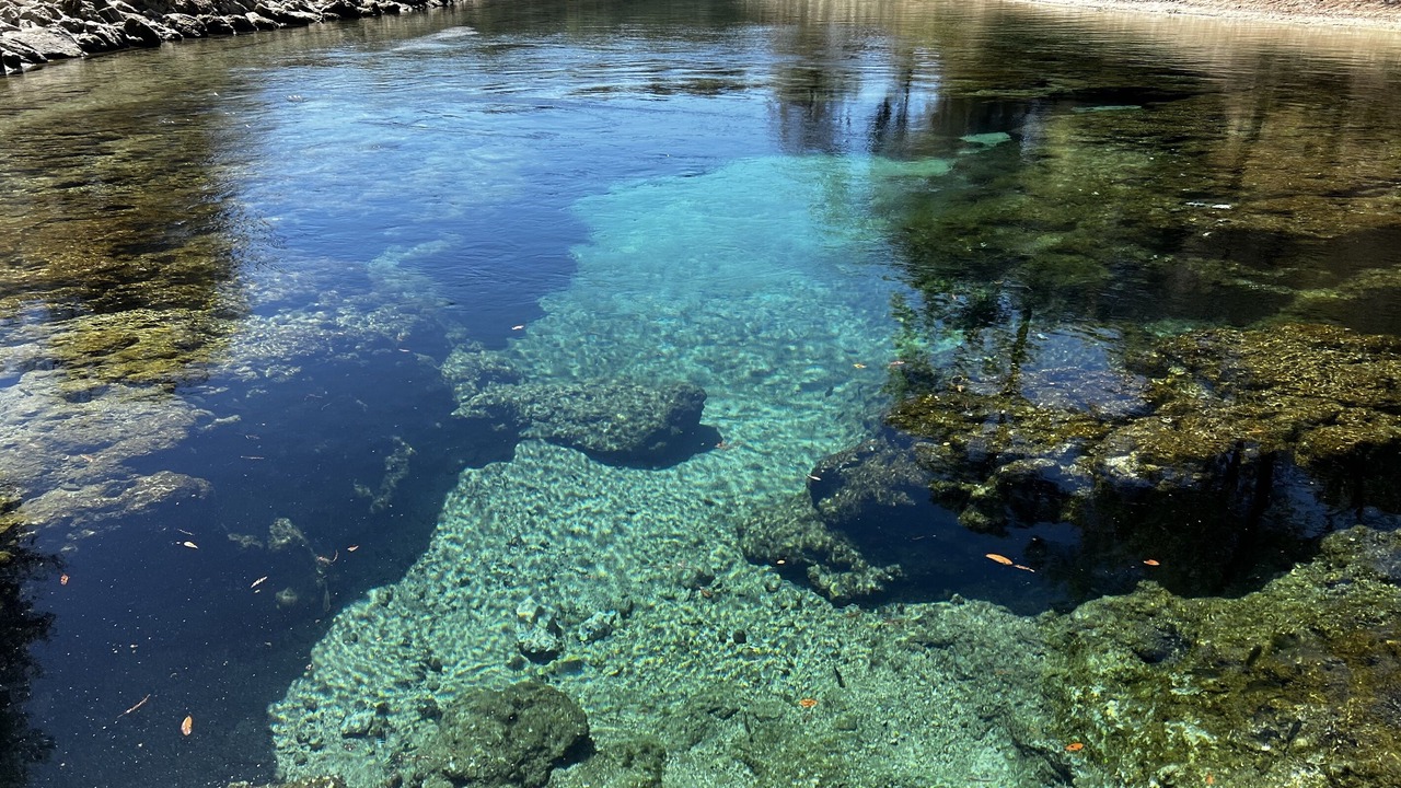 Photo of Others in Branford