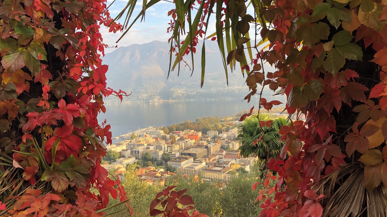 Photo of Others in Locarno