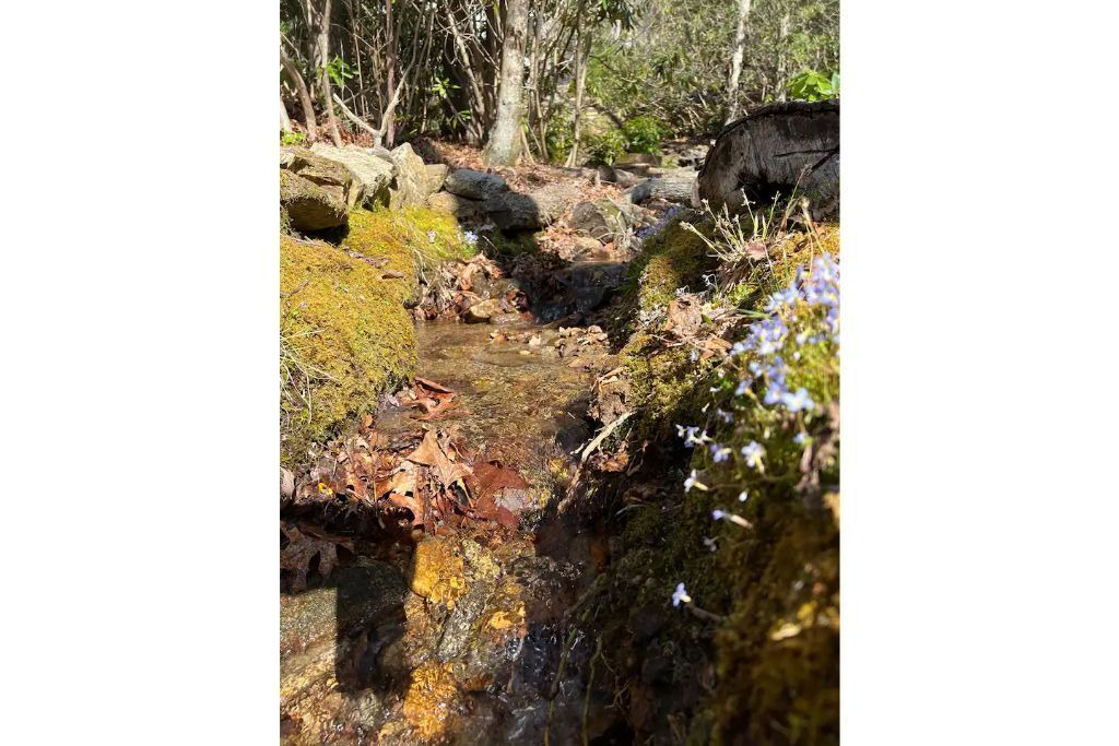 Photo of Outdoor in Cullowhee