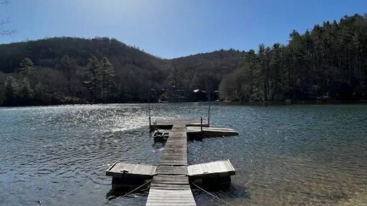 Photo of Others in Cullowhee
