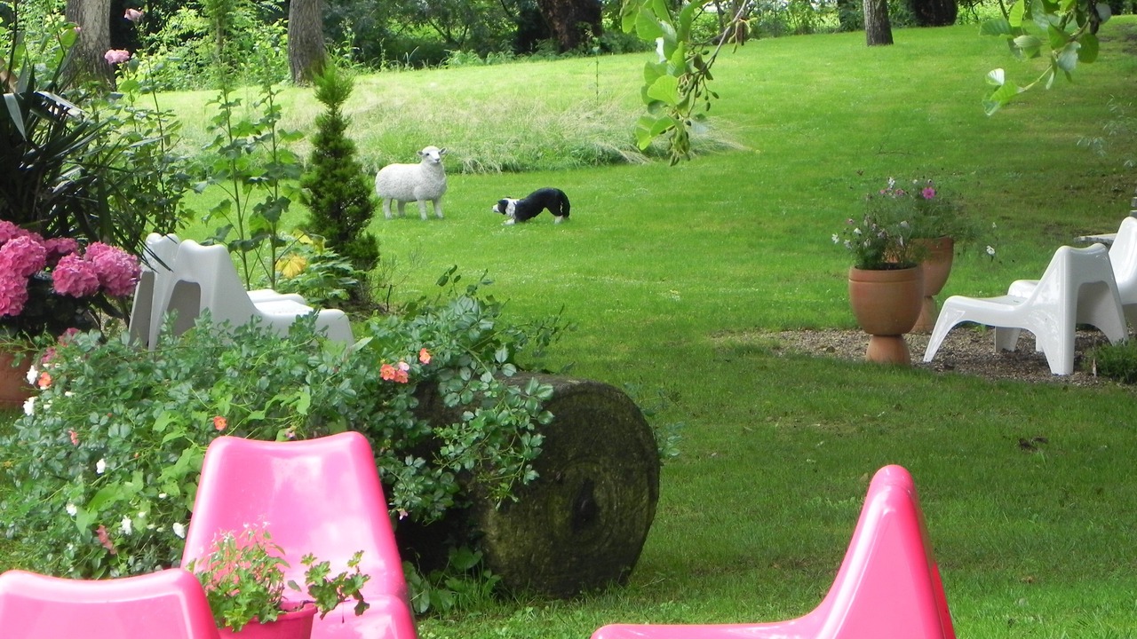 Photo of Outdoor in Arcais