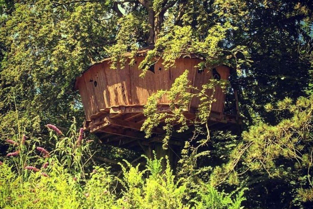 Photo of Outdoor in Wail