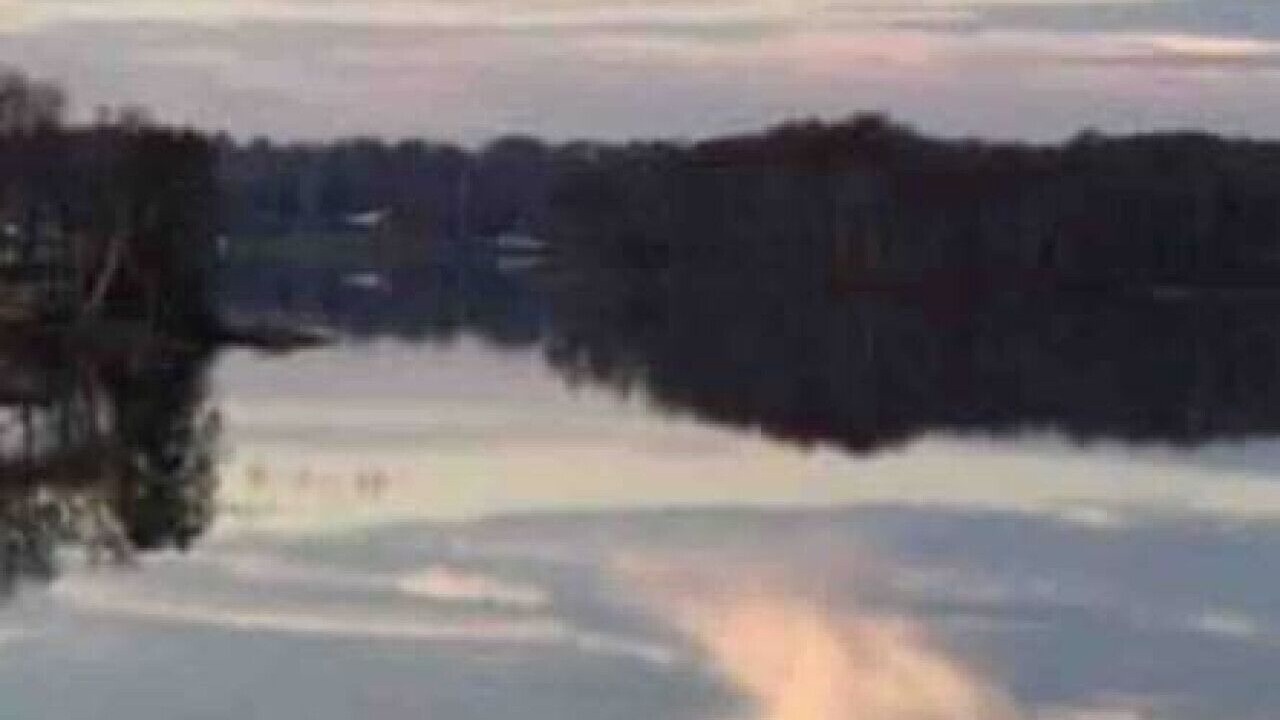Photo of Others in Hale