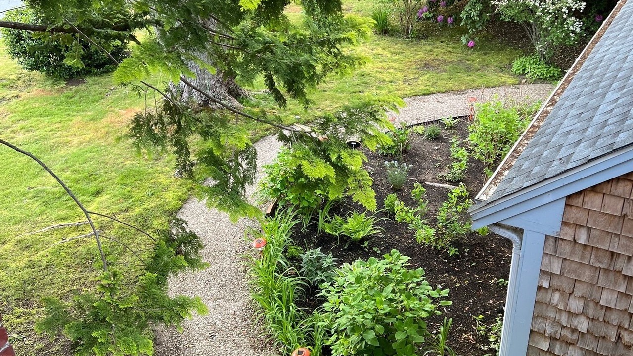 Photo of Others in East Falmouth