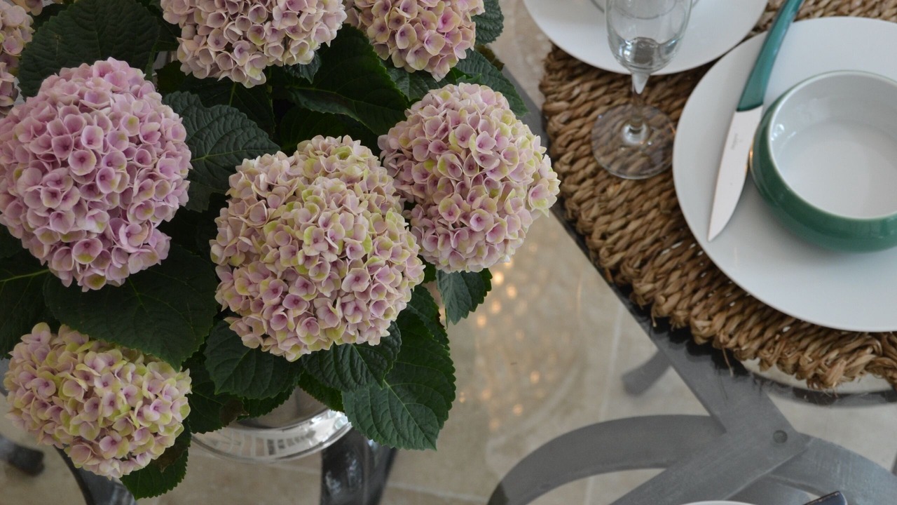 Photo of Others in Saint-Justin