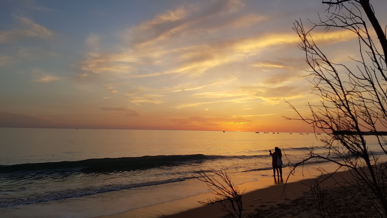 Photo of Others in Dolus-d'Oleron