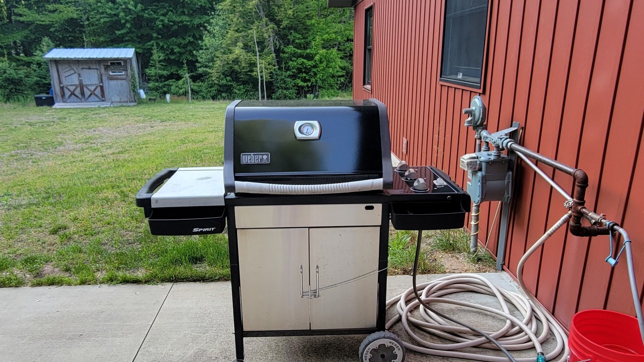 Photo of Outdoor in West Olive