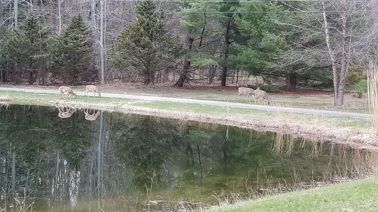 Photo of Outdoor in West Olive
