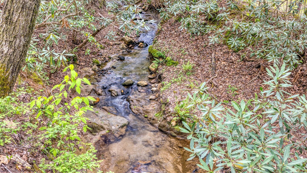 Photo of Outdoor in Morganton