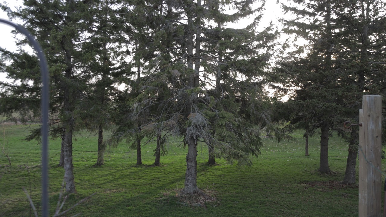 Photo of Outdoor in Newcastle