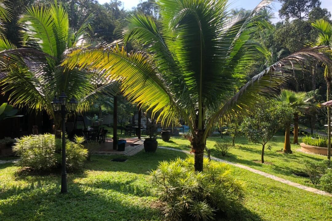 Photo of Outdoor in Kerling