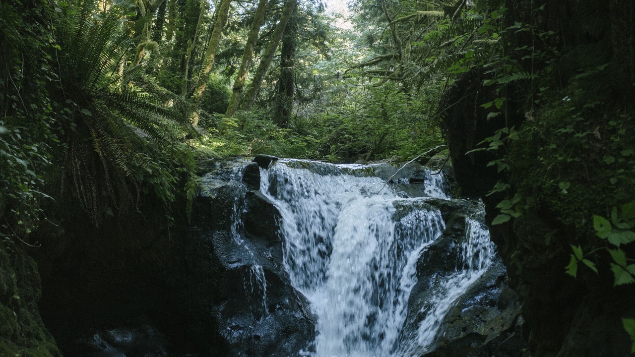 Photo of Outdoor in Washougal