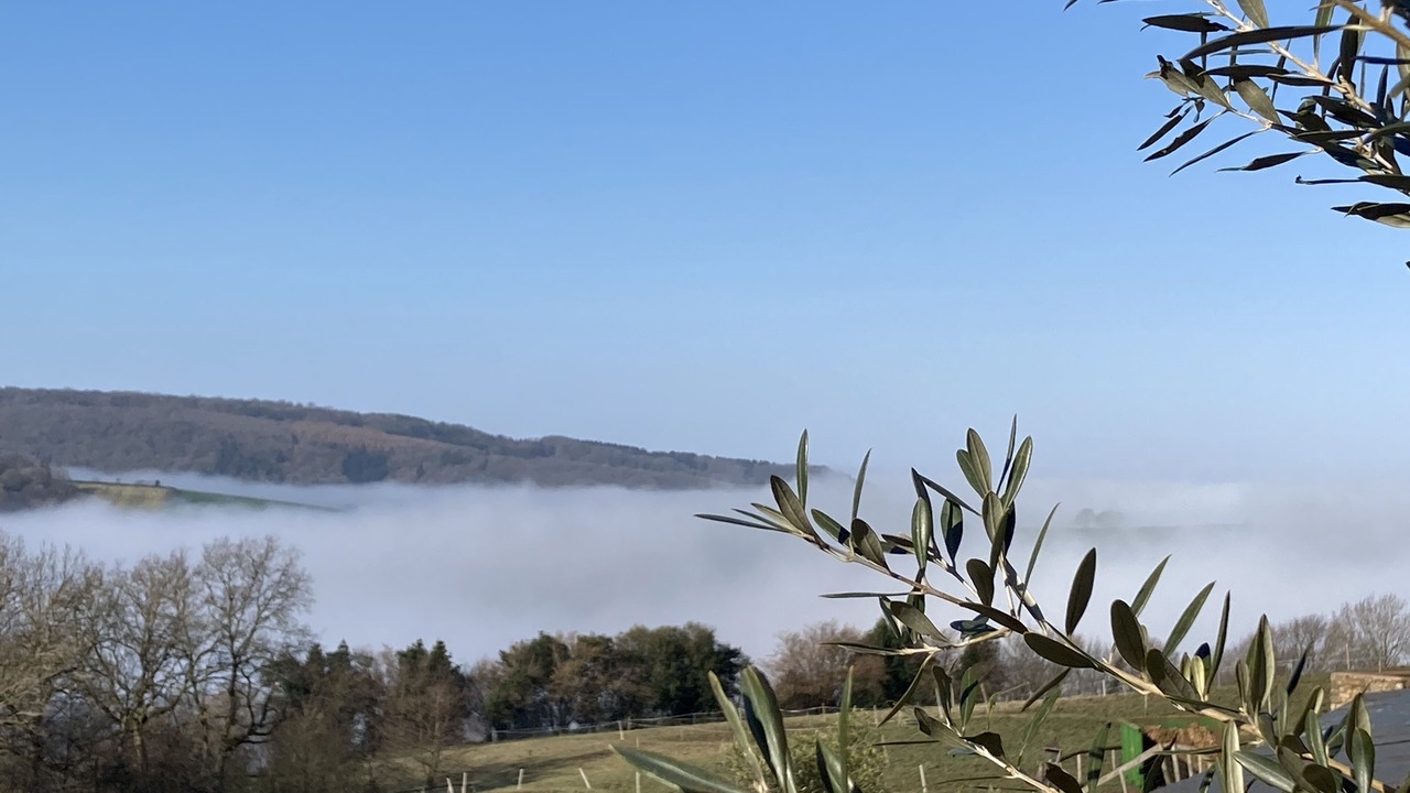 Photo of Others in Longhope