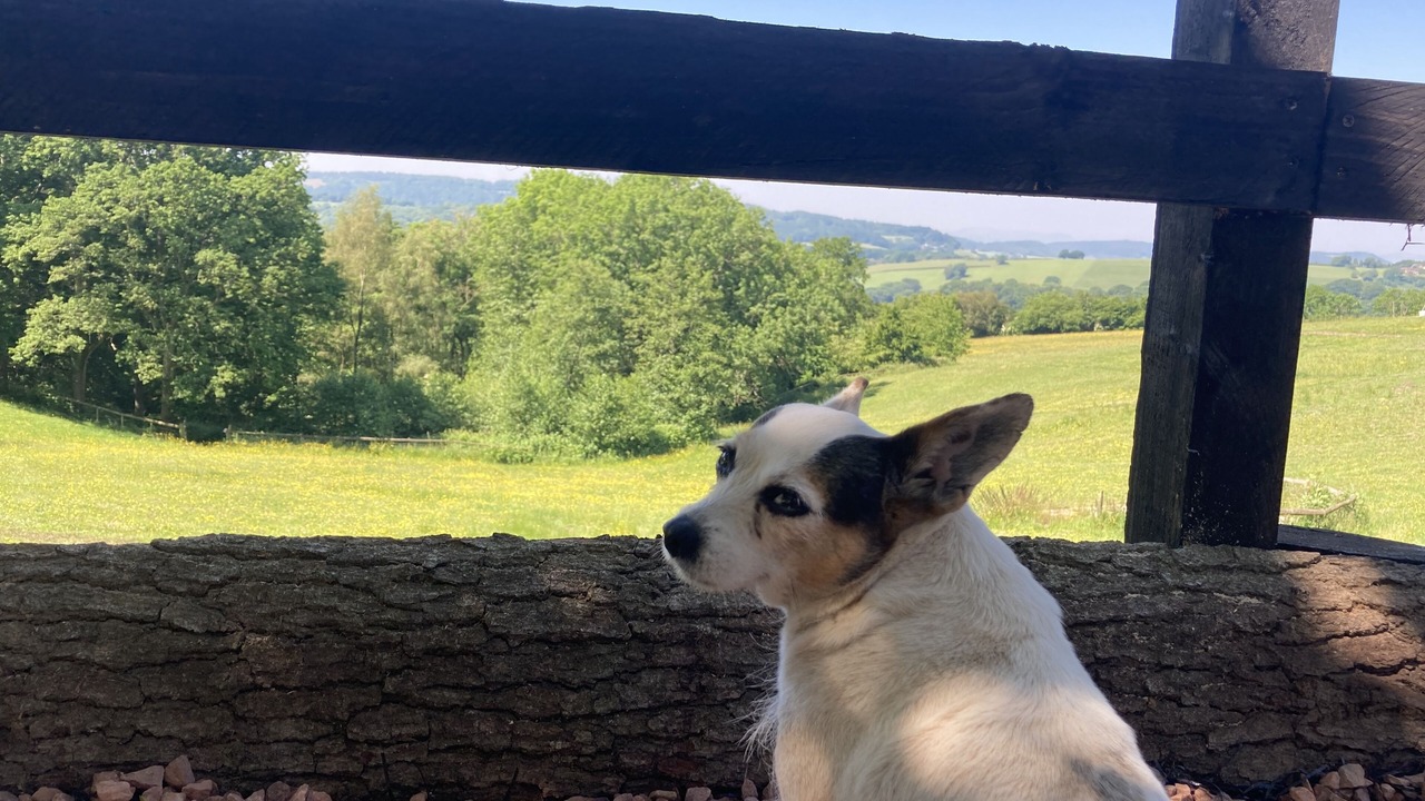 Photo of Others in Longhope