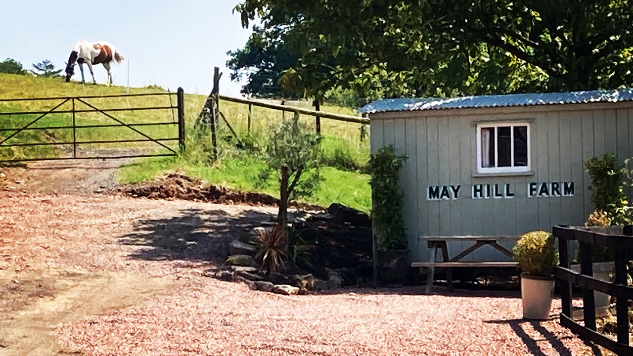 Photo of Others in Longhope