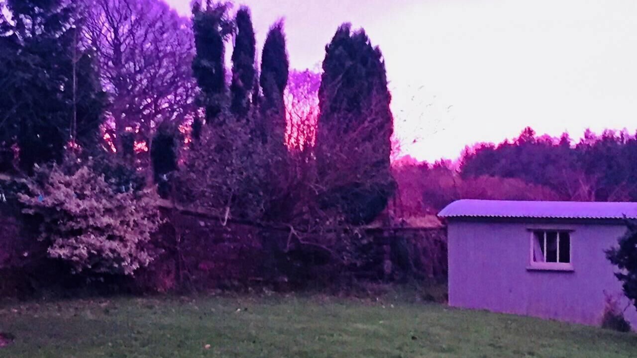 Photo of Others in Longhope