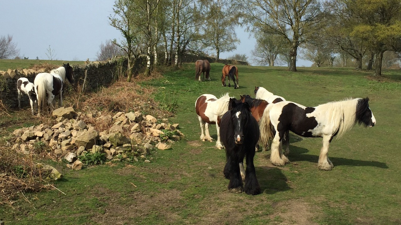 Photo of Others in Longhope