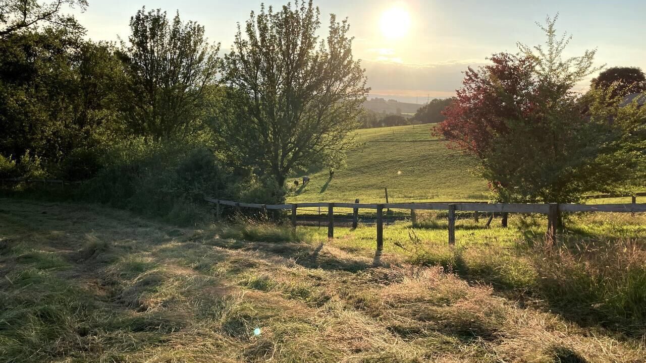 Photo of Others in Longhope