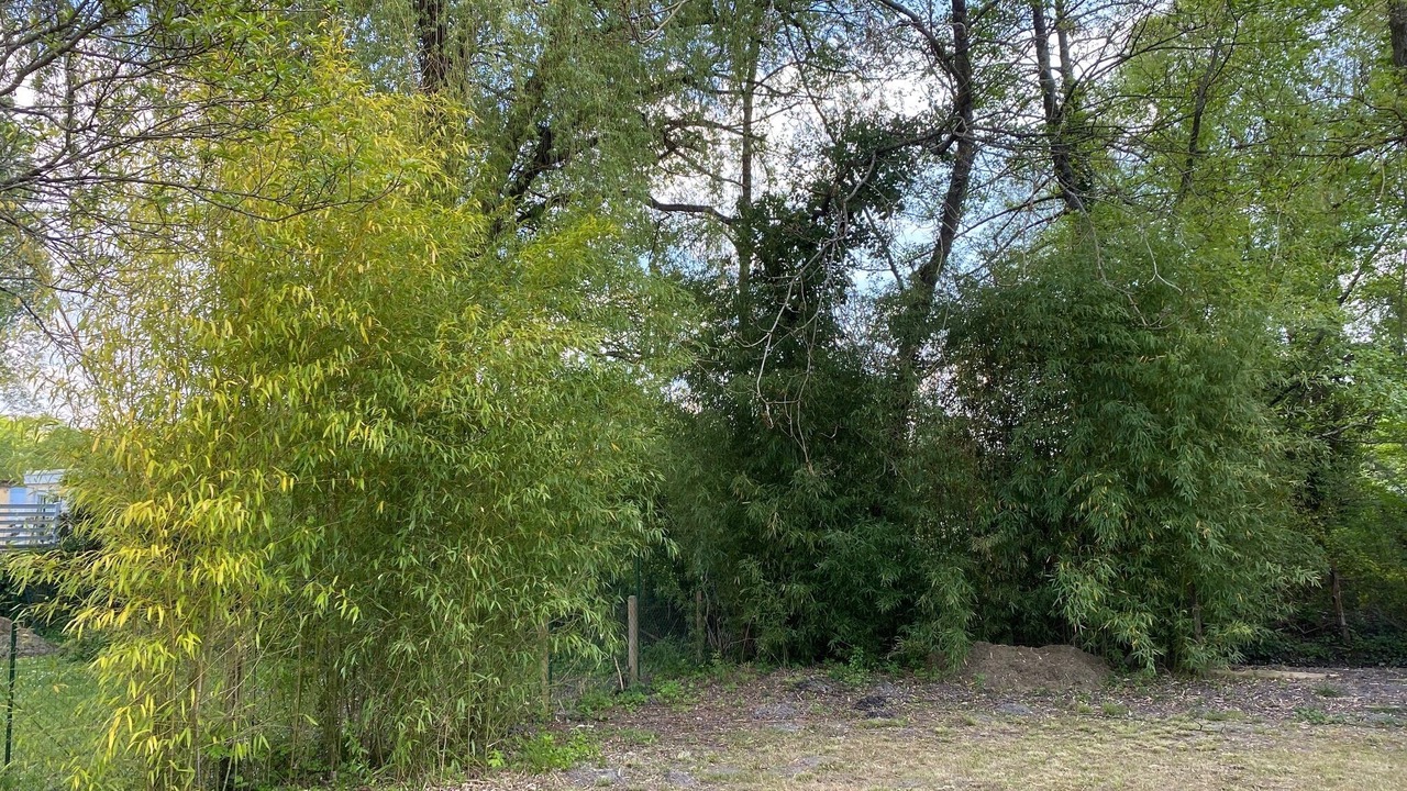 Photo of Outdoor in Riberac