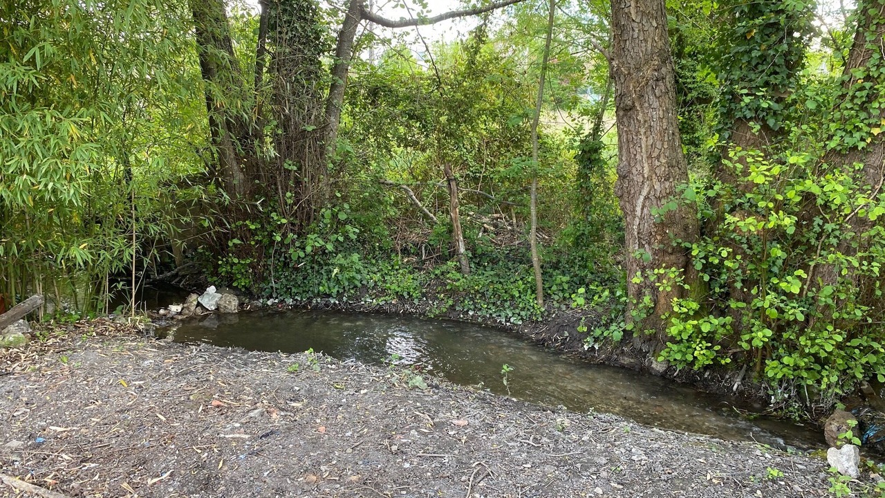 Photo of Outdoor in Riberac