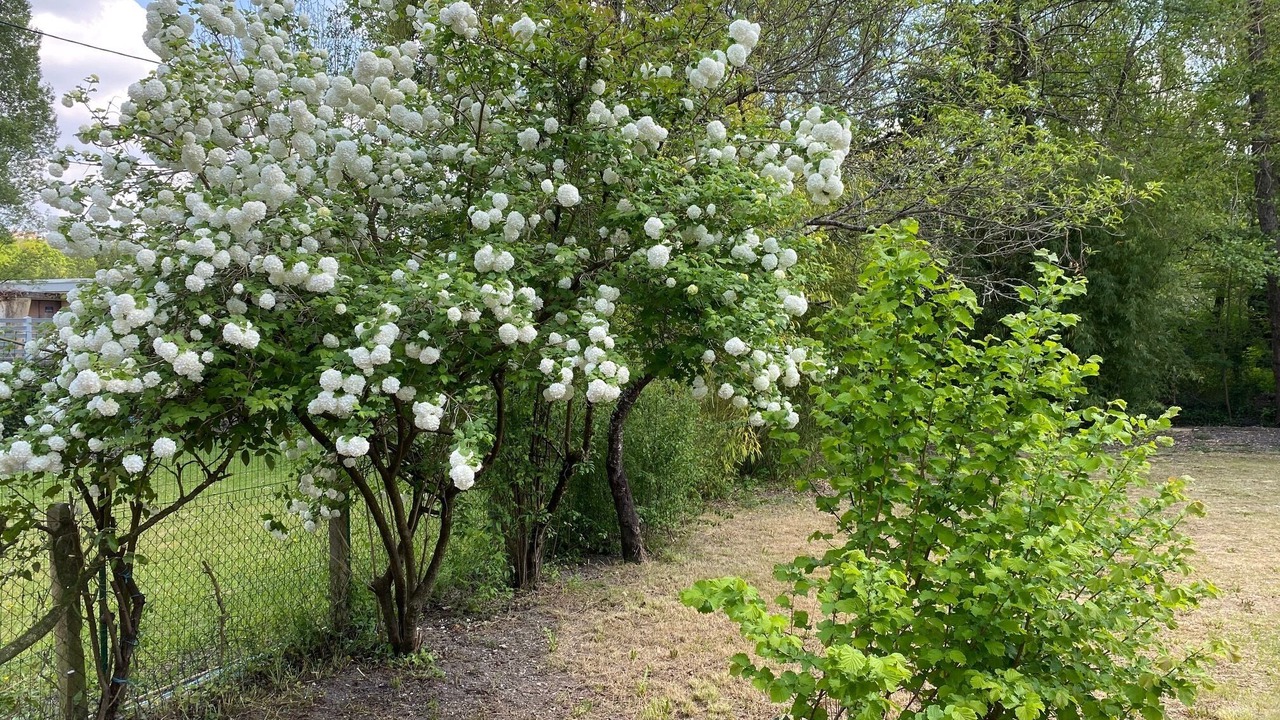 Photo of Outdoor in Riberac