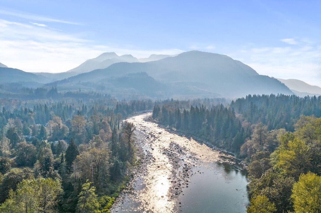 Photo of Others in Gold Bar