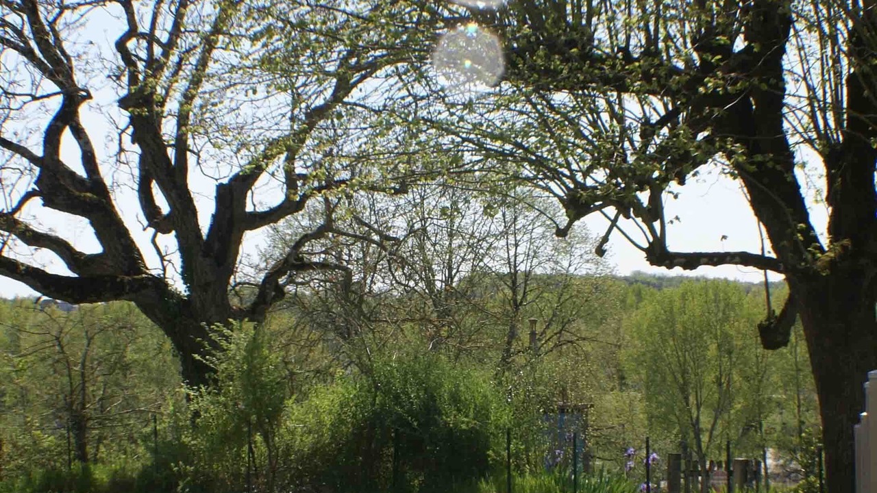 Photo of Outdoor in Obterre