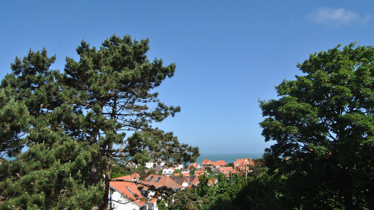 Photo of Others in Wissant