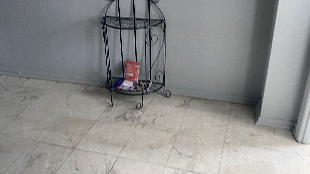 Photo of Others in Flatbush