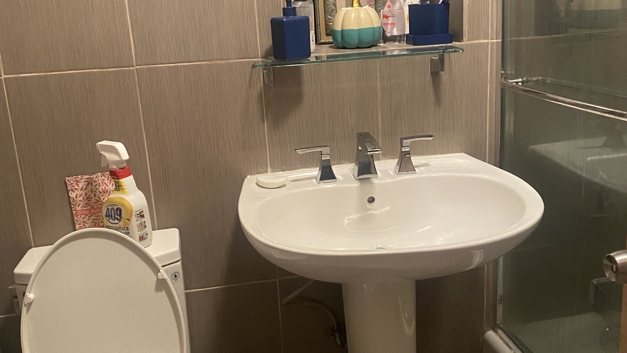 Photo of Bathroom in Flatbush