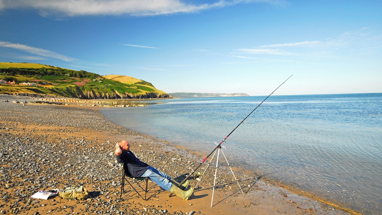 Photo of Others in Aberaeron
