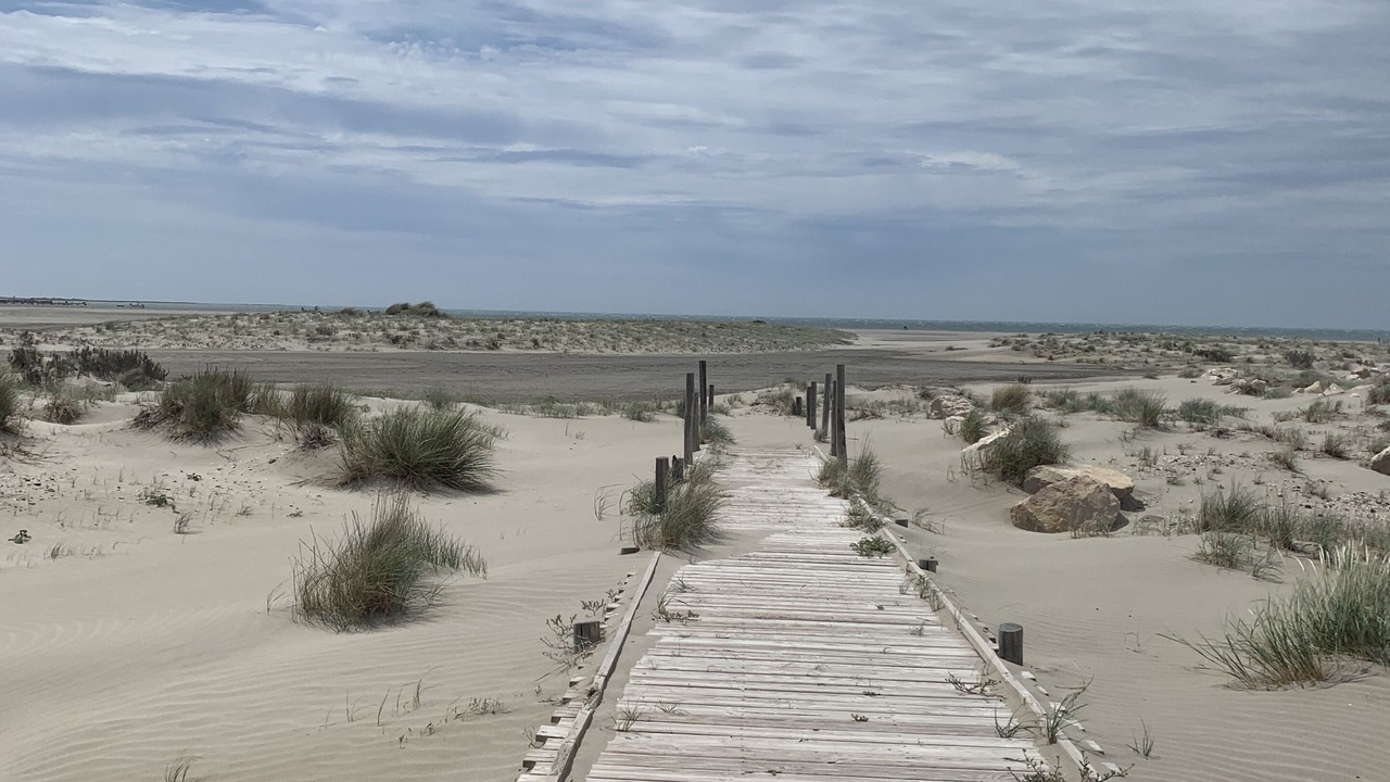 Photo of Others in Salin-de-Giraud