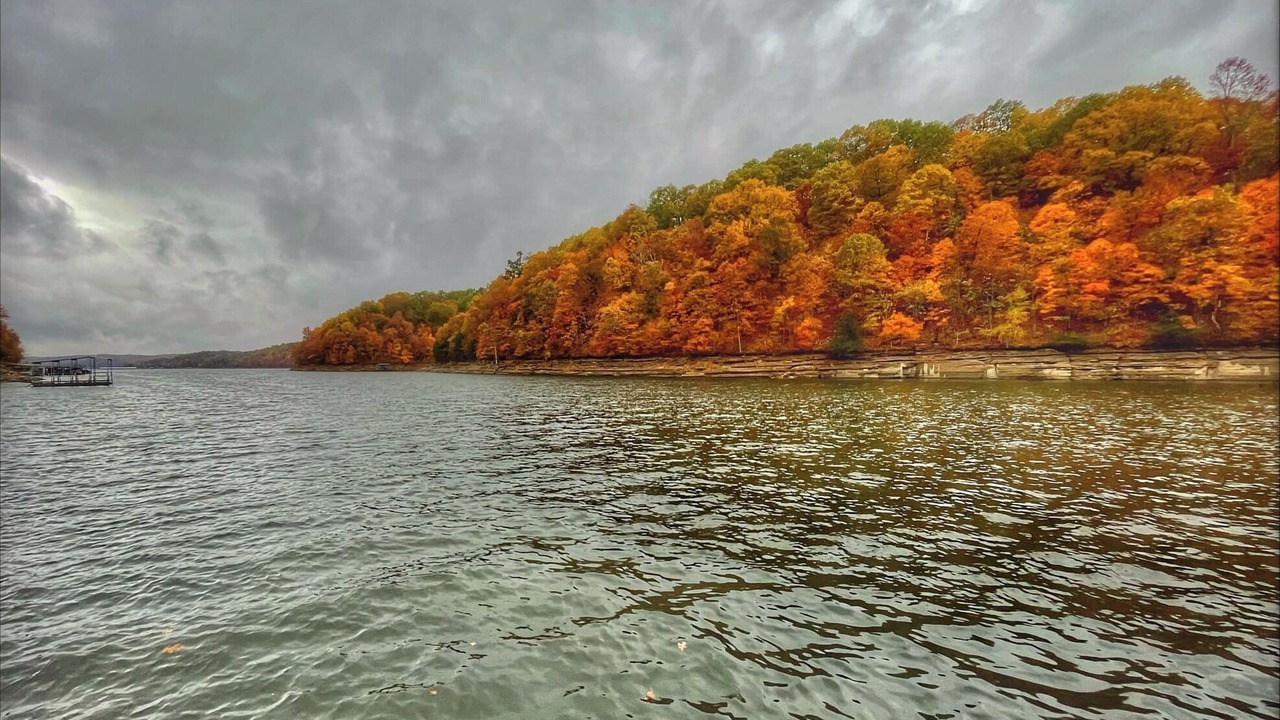 Photo of Outdoor in Beaver Shores