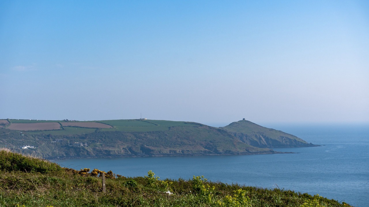 Photo of Others in Saint John