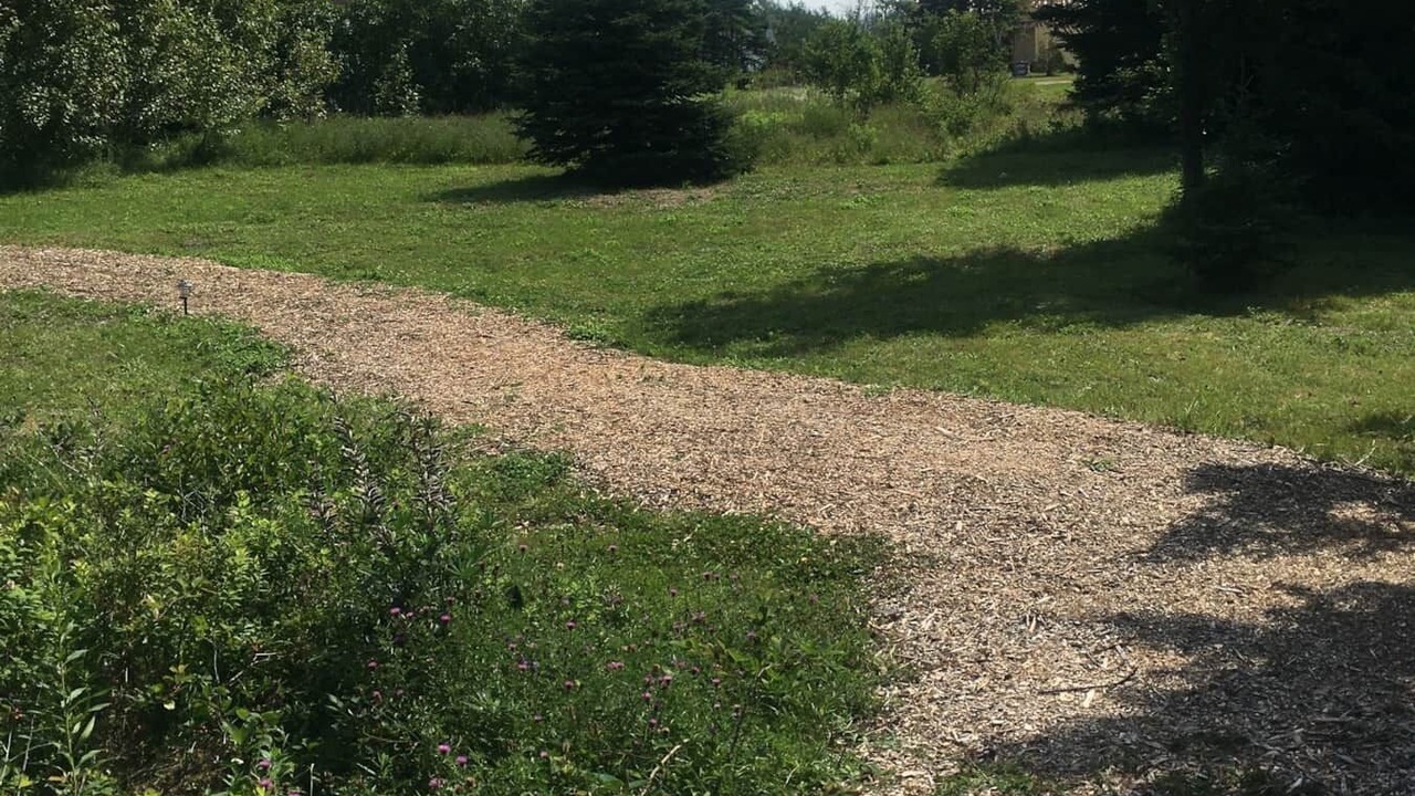 Photo of Others in Ingonish