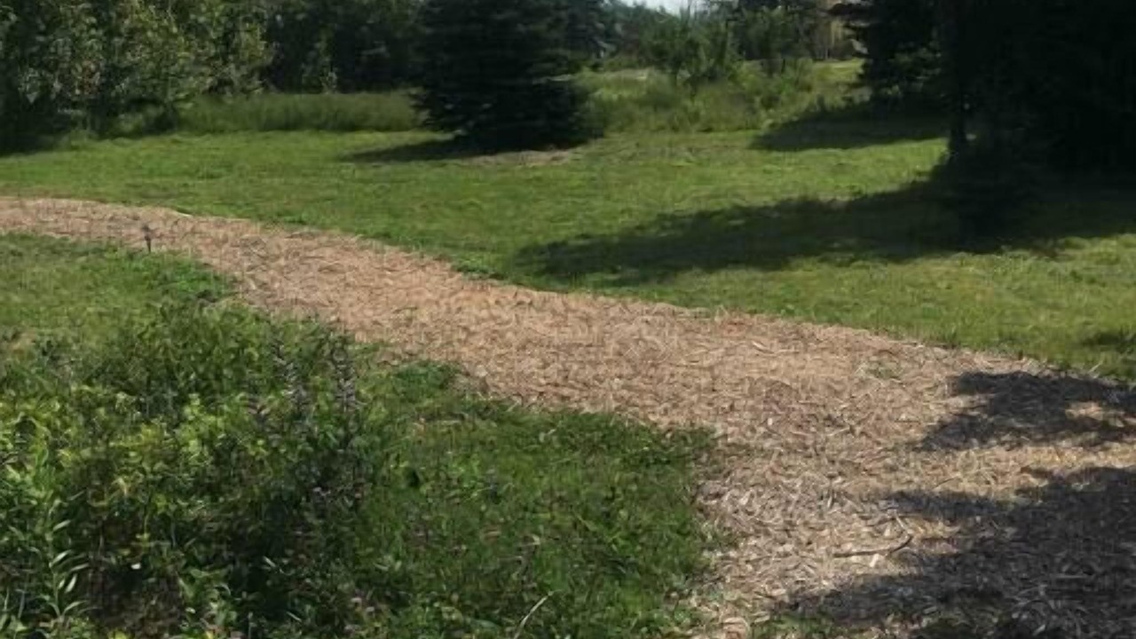 Photo of Others in Ingonish