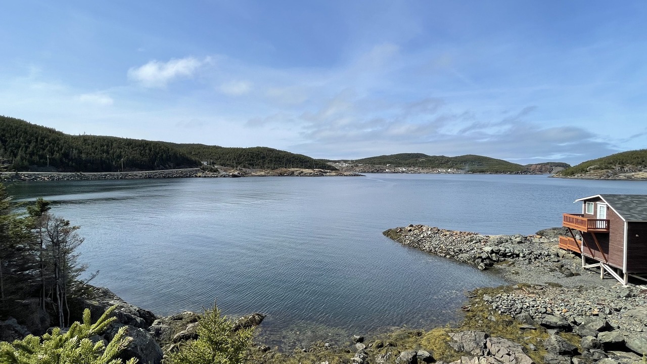 Photo of Others in Moreton's Harbour
