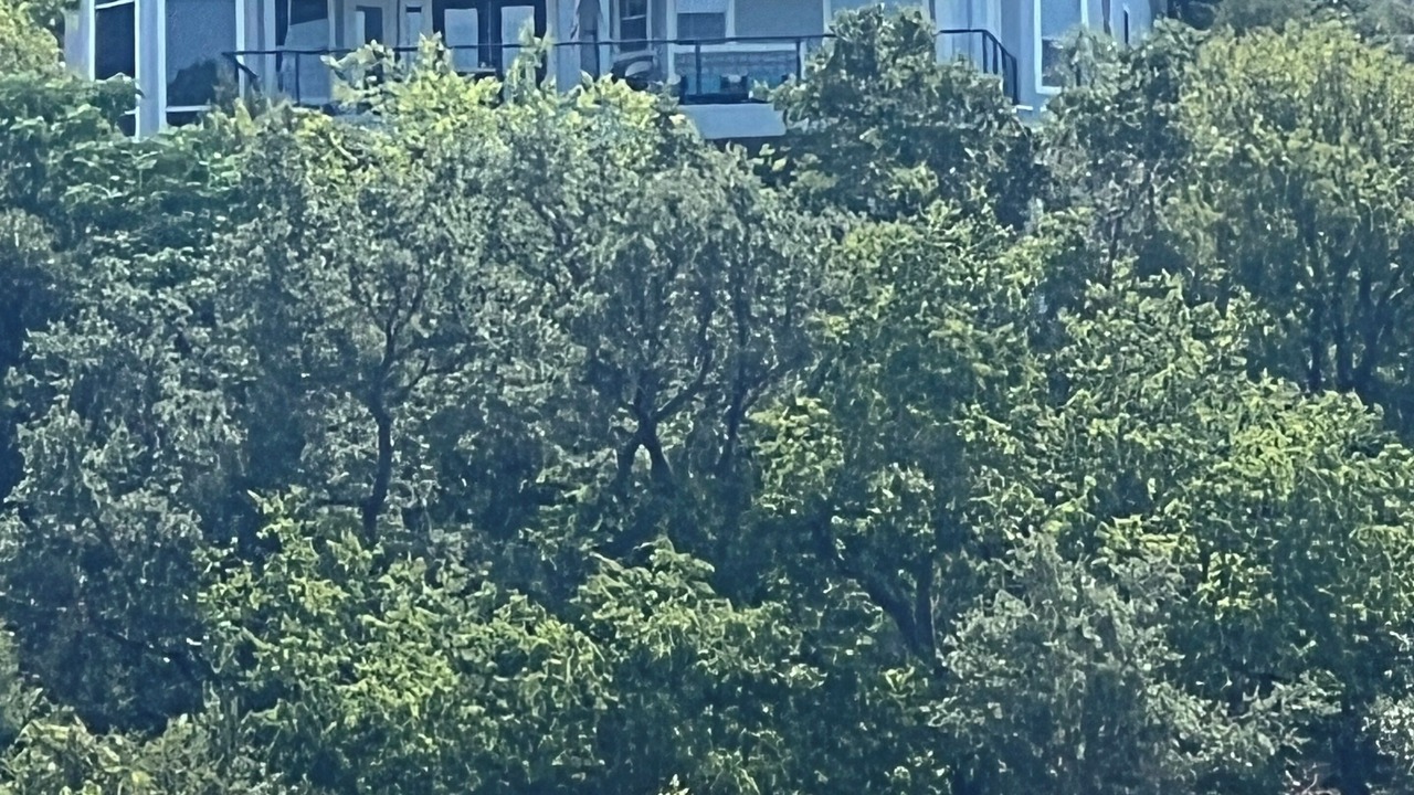 Photo of Outdoor in Lower Basin Lake Travis