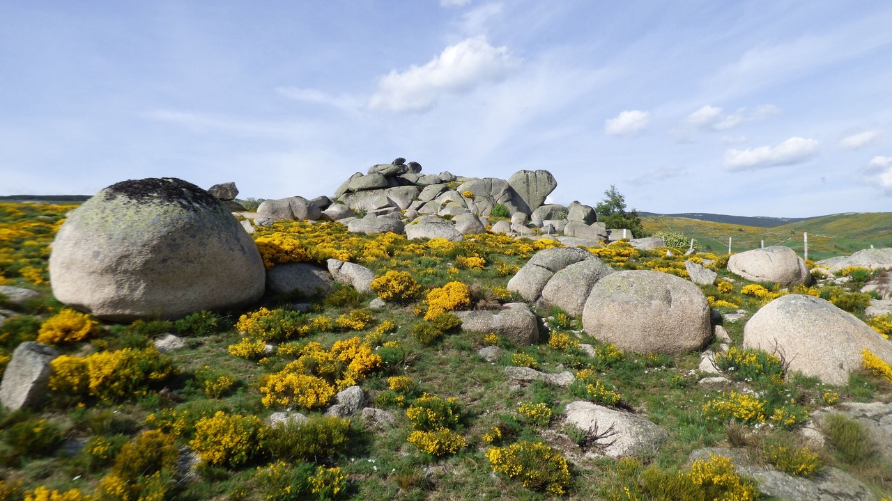 Photo of Outdoor in Fraissinet-de-Lozere