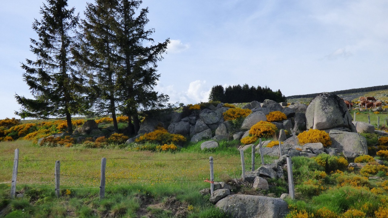 Photo of Outdoor in Fraissinet-de-Lozere