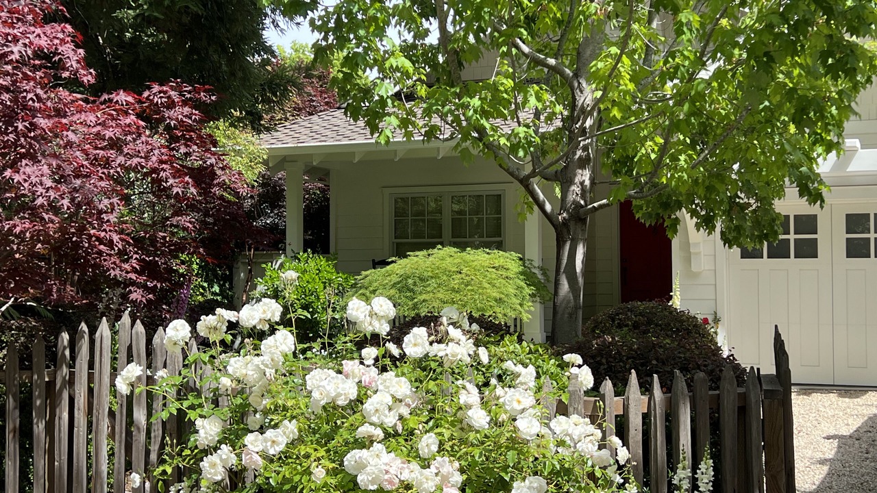 Photo of Outdoor in Atherton