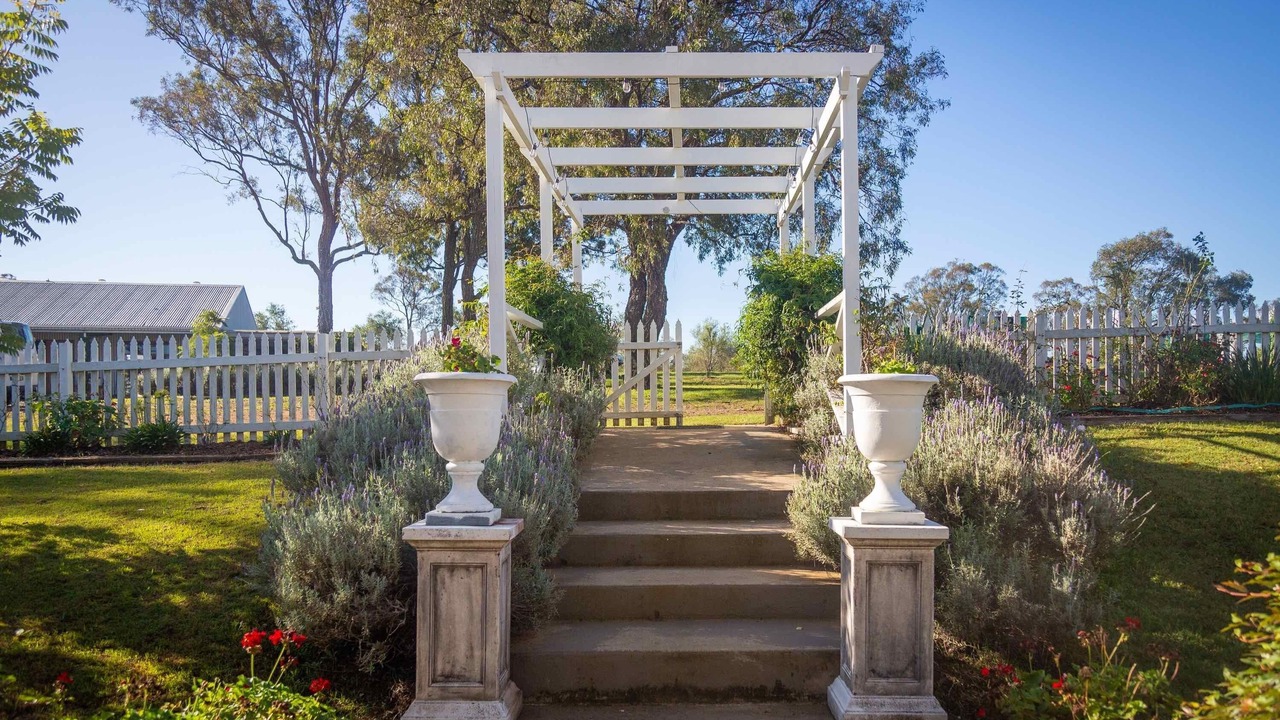 Photo of Outdoor in Lovedale