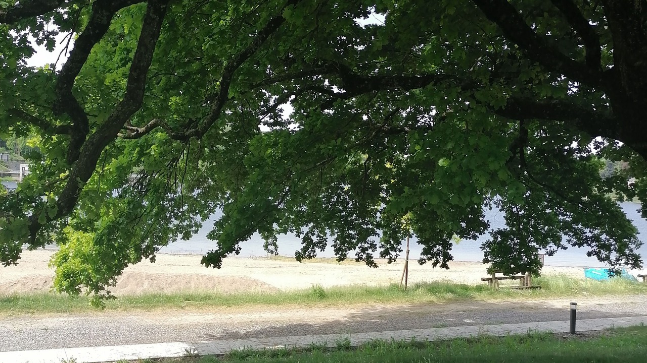 Photo of Outdoor in La Salvetat-sur-Agout