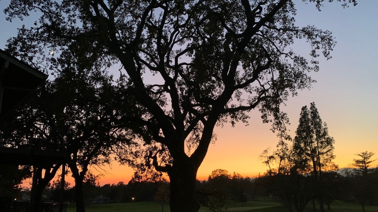 Photo of Others in Napa